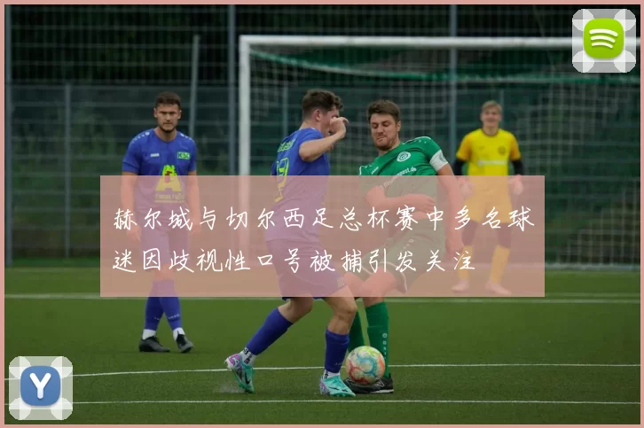 赫尔城与切尔西足总杯赛中多名球迷因歧视性口号被捕引发关注