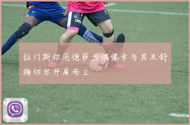 拉门斯称范德萨为偶像幸与其及舒梅切尔并肩而立